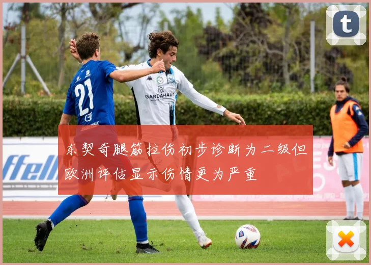 东契奇腿筋拉伤初步诊断为二级但欧洲评估显示伤情更为严重